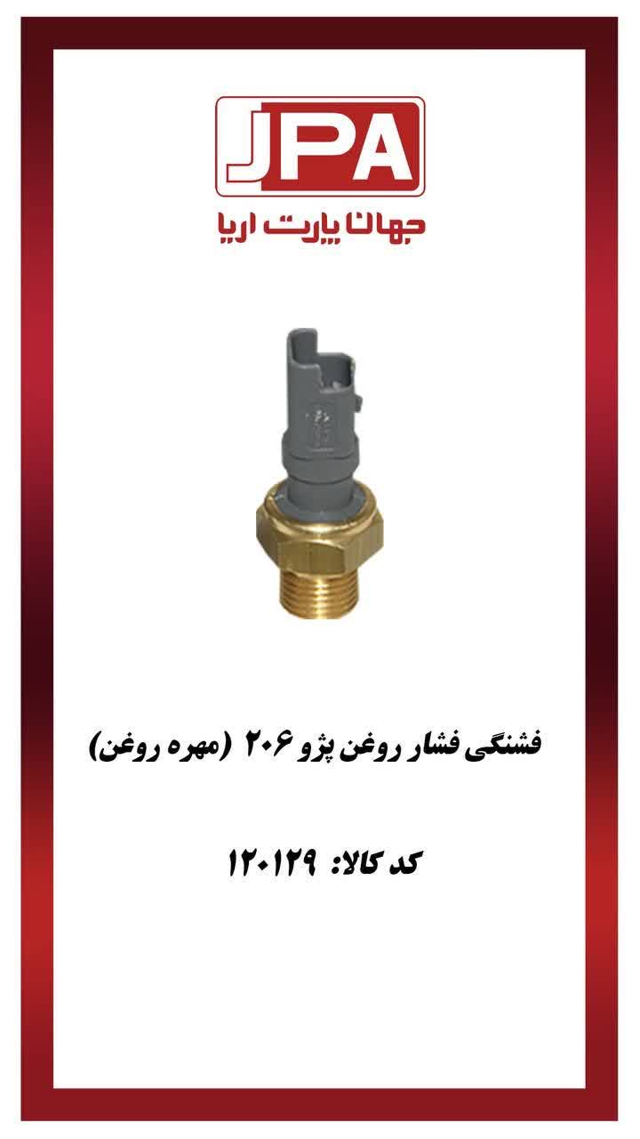 فشنگی فشار روغن پژو ۲۰۶ ( مهره روغن) جهان پارت